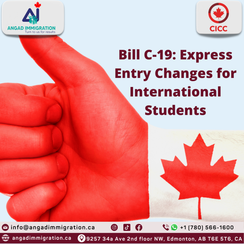 Bill C-19 express entry