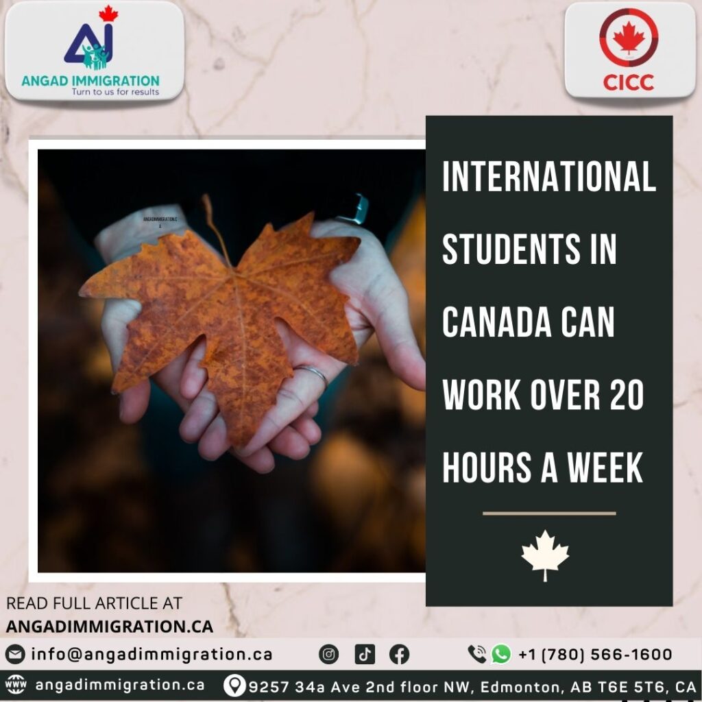 International students in Canada allowed to work for more than 20 hours in a week