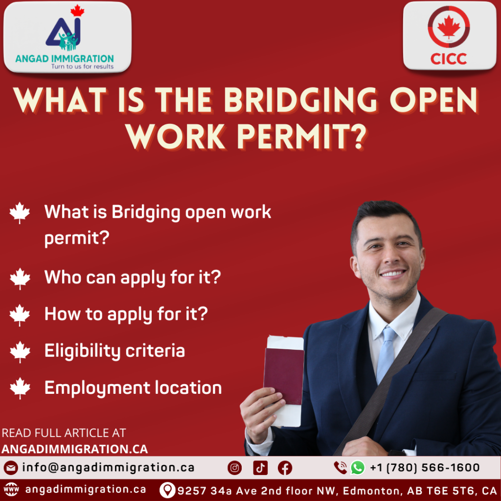 What Is The Bridging Open Work Permit And How To Apply For It 