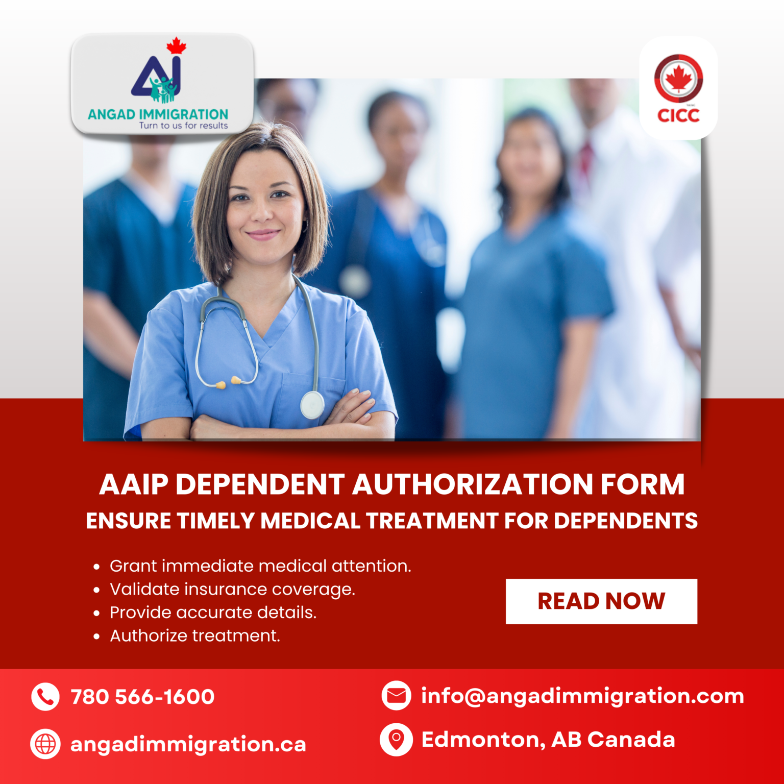 what-is-aaip-dependent-authorization-form